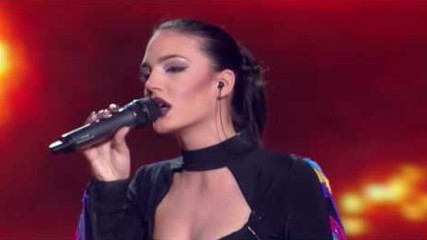 Zorana Stefanov - Polje jagoda