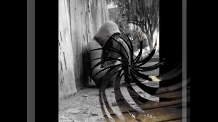 Kingsize - Zelen svqt 0001 