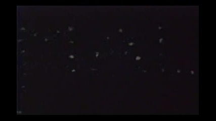 Sand Animation Of Animals..