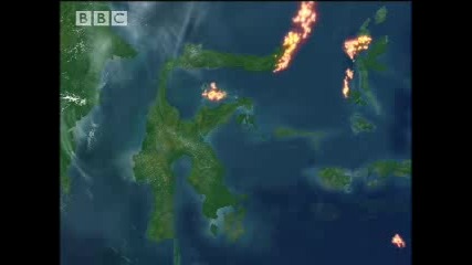 Bbc Wild Nature - Indonesian Fire Islands