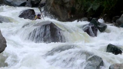 Wildwater - 1