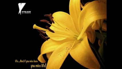 Smiley - Love is for free **hq**