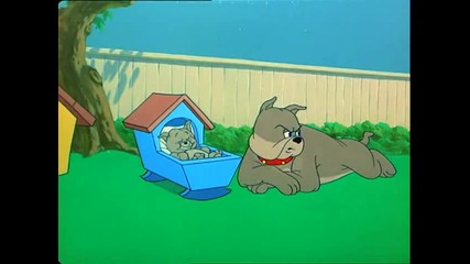 Tom and Jerry - Hic - cup Pup 