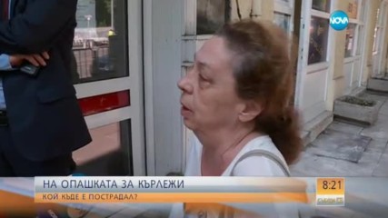Напаст от кърлежи: Стотици ухапани за последната седмица