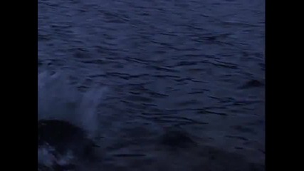 Return to the Blue Lagoon (1991) - Bg Audio [част 3]