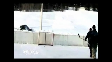 Hockey Puck to Face Knockout 