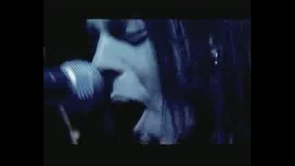 Bullet For My Valentine - - Cries in vain 