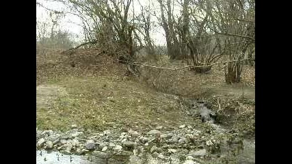 Picture 030