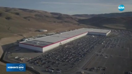 Tesla ще изсече голяма площ гори, за да построи новата си фабрика в Германия