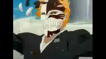 Ichigo vs. Grimmjow 