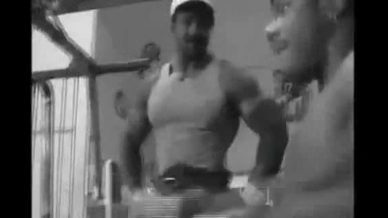 Flex Wheeler