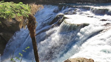 Axel Rudi Pell - Where The Wild Waters Flow