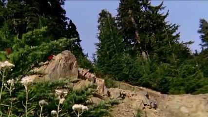 Mountainbike Freeride Mix