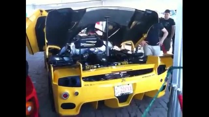 Ferrari Enzo Fxx Engine rev 
