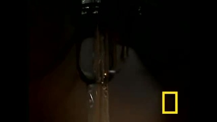 Глобалното затопляне