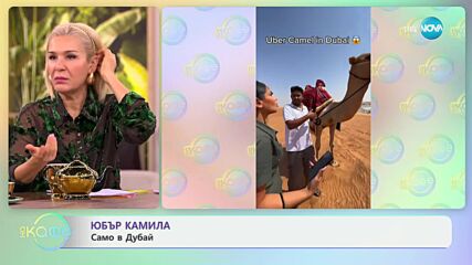 Юбър камила - само в Дубай - „На кафе“ (29.10.2024)