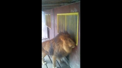 Vid_20141120_150821