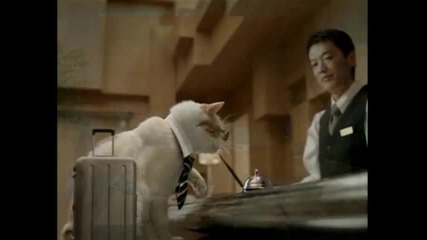 Японска бизнес котка 