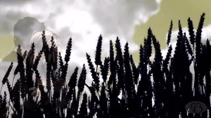 Sting - Fields Of Gold