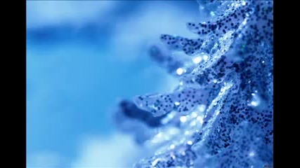 Sane - Cold