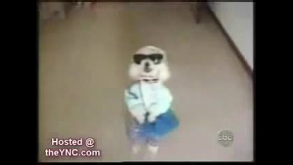 Who let the dogs out