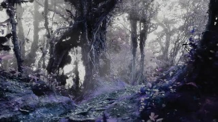 A Light in the Dark - Hope