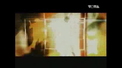 Seal - Amazing