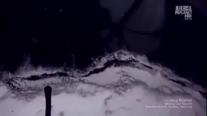Whale Wars season 4 - Race To Save Life Part 2_(360p)-6