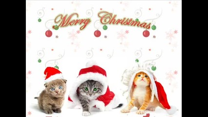 Cristmass _коледа **с Миша**