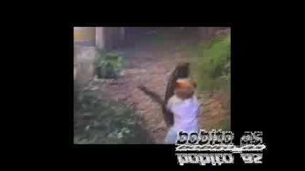 Смешна Атака На Коте Срещу Бебе