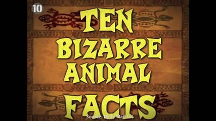 10 Bizarre Animal Facts