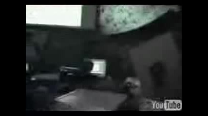 Parasense - Paranoia 