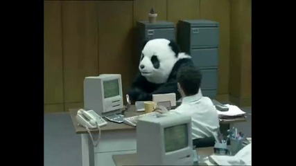 Пандата оживя от опаковката - Смях!!