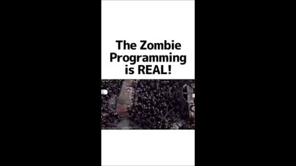 The zombie programming is real.mp4