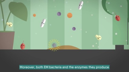 Em Microbial solution to save the earth - Youtube