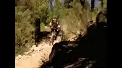 Mountain Bike Nwd10 Dust and Bones - Freeride Entertainment 
