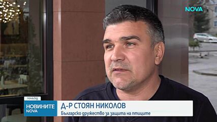 Започва мащабна кампания за спасяване на застрашени птици в България, РСМ и Турция