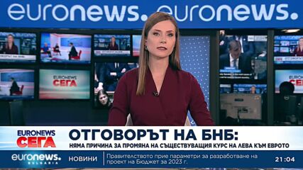 Няма причина за промяна на съществуващия курс на лева към еврото, увери БНБ