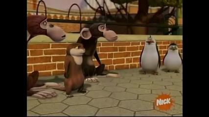 The Penguins of Madagascar - Monkey love