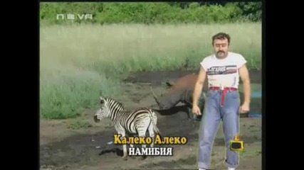 Много Смях