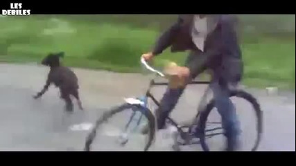 Вие ще се объркате ли като него ?