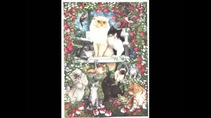 Animals - Everytime We Touch