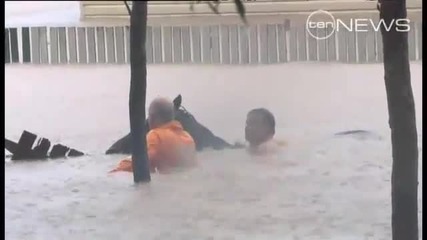 Мъж Спасява Конете си от Наводнената Ферма ! Australia 12 януари 2011 