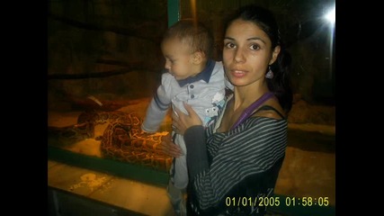 zoo park