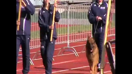 Nkgr Quenn vom L her Weg Bszs 2009 