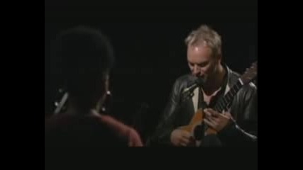Sting - Never Coming Home