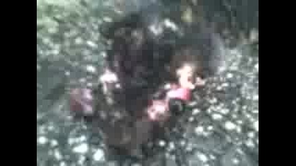 Mov00002.3gp