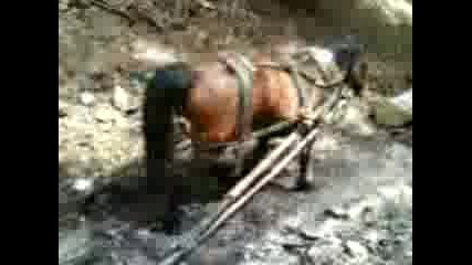 qki kone 
