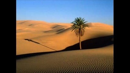 Ennio Morricone - The Good The Bad The Ugly