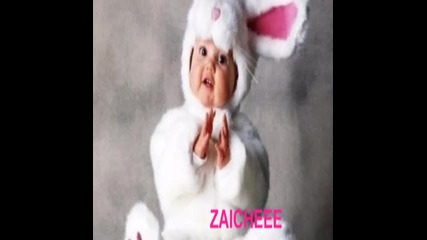 Zaicheee